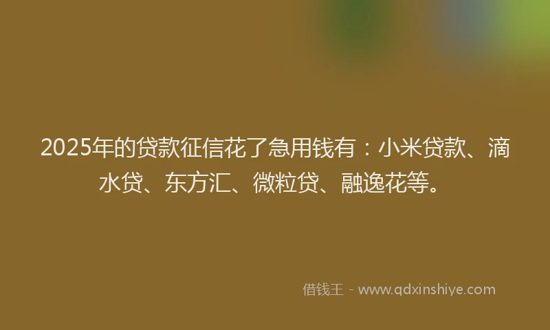 2025年的贷款征信花了急用钱有：小米贷款、滴水贷、东方汇、微粒贷、融逸花等。
