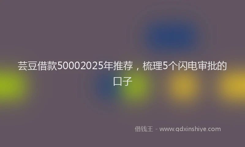 芸豆借款50002025年推荐，梳理5个闪电审批的口子