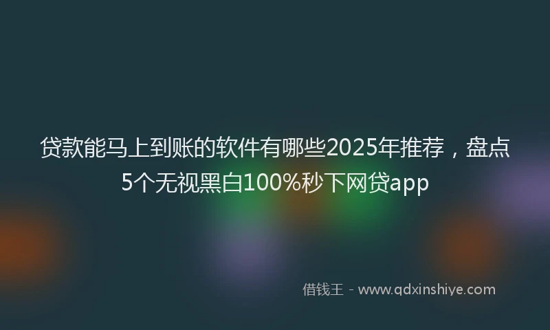 贷款能马上到账的软件有哪些2025年推荐，盘点5个无视黑白100%秒下网贷app