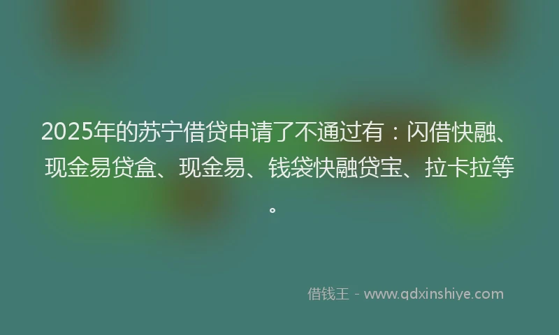 2025年的苏宁借贷申请了不通过有：闪借快融、现金易贷盒、现金易、钱袋快融贷宝、拉卡拉等。