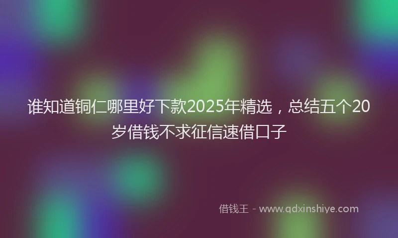 谁知道铜仁哪里好下款2025年精选，总结五个20岁借钱不求征信速借口子