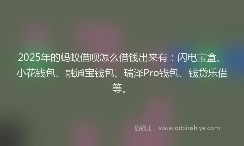 2025年的蚂蚁借呗怎么借钱出来有：闪电宝盒、小花钱包、融通宝钱包、瑞泽Pro钱包、钱贷乐借等。