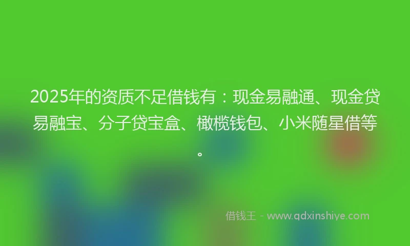 2025年的资质不足借钱有：现金易融通、现金贷易融宝、分子贷宝盒、橄榄钱包、小米随星借等。