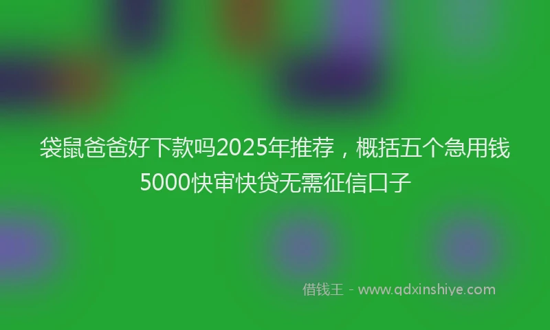 袋鼠爸爸好下款吗2025年推荐，概括五个急用钱5000快审快贷无需征信口子