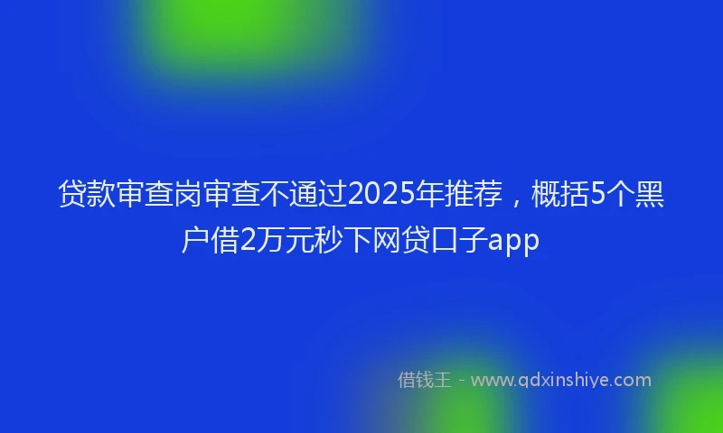 贷款审查岗审查不通过2025年推荐，概括5个黑户借2万元秒下网贷口子app
