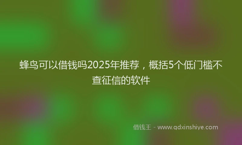 蜂鸟可以借钱吗2025年推荐，概括5个低门槛不查征信的软件