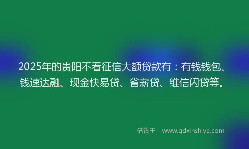 2025年的贵阳不看征信大额贷款有：有钱钱包、钱速达融、现金快易贷、省薪贷、维信闪贷等。