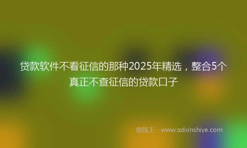 贷款软件不看征信的那种2025年精选，整合5个真正不查征信的贷款口子