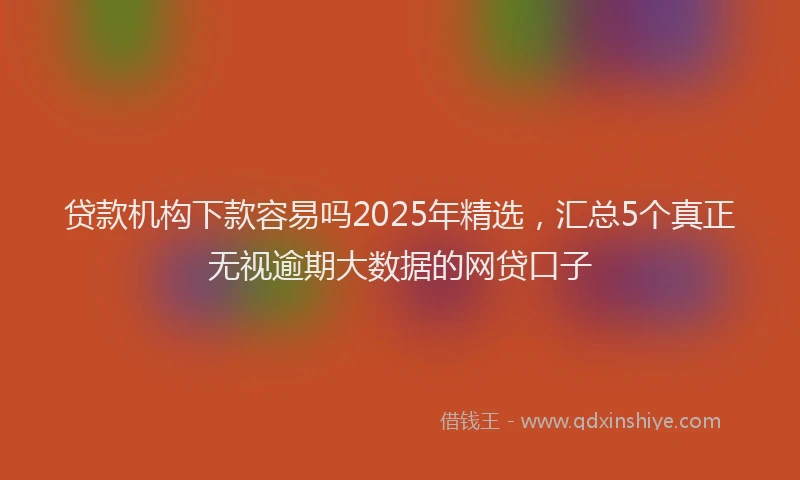 贷款机构下款容易吗2025年精选，汇总5个真正无视逾期大数据的网贷口子