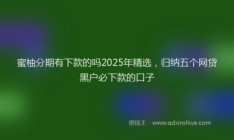 蜜柚分期有下款的吗2025年精选，归纳五个网贷黑户必下款的口子
