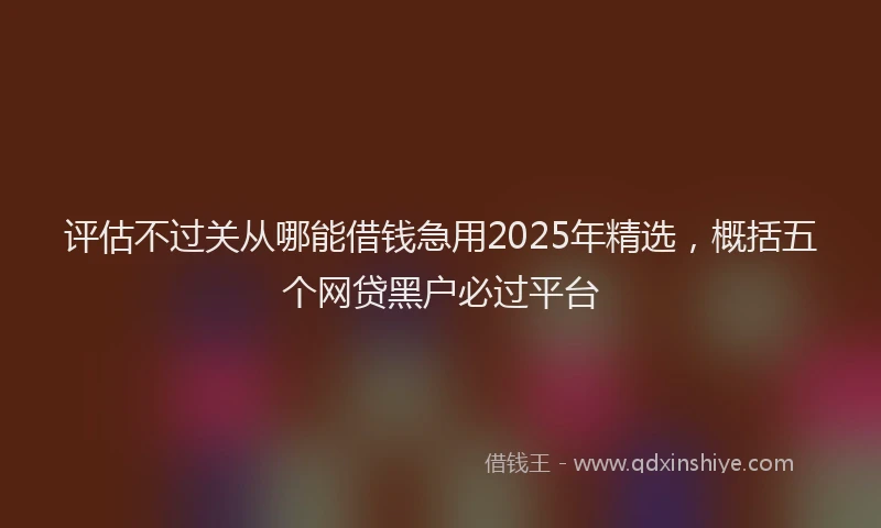 评估不过关从哪能借钱急用2025年精选，概括五个网贷黑户必过平台