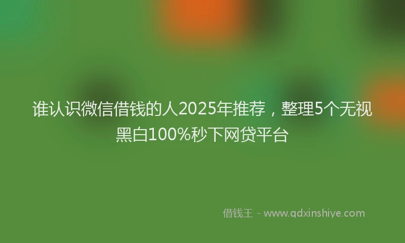 谁认识微信借钱的人2025年推荐，整理5个无视黑白100%秒下网贷平台