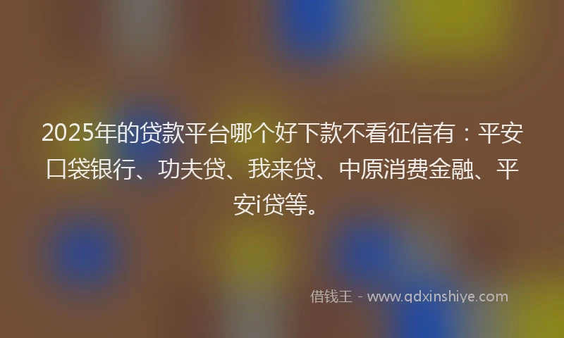 2025年的贷款平台哪个好下款不看征信有：平安口袋银行、功夫贷、我来贷、中原消费金融、平安i贷等。