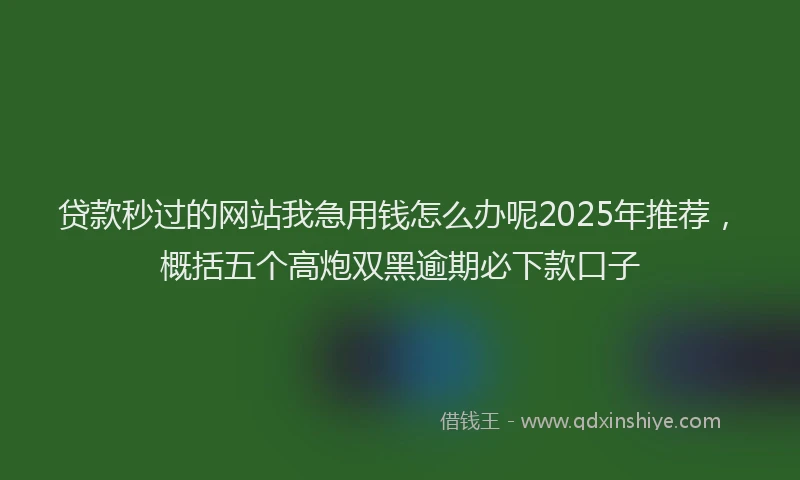 贷款秒过的网站我急用钱怎么办呢2025年推荐，概括五个高炮双黑逾期必下款口子