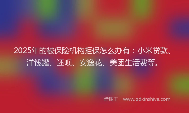 2025年的被保险机构拒保怎么办有：小米贷款、洋钱罐、还呗、安逸花、美团生活费等。