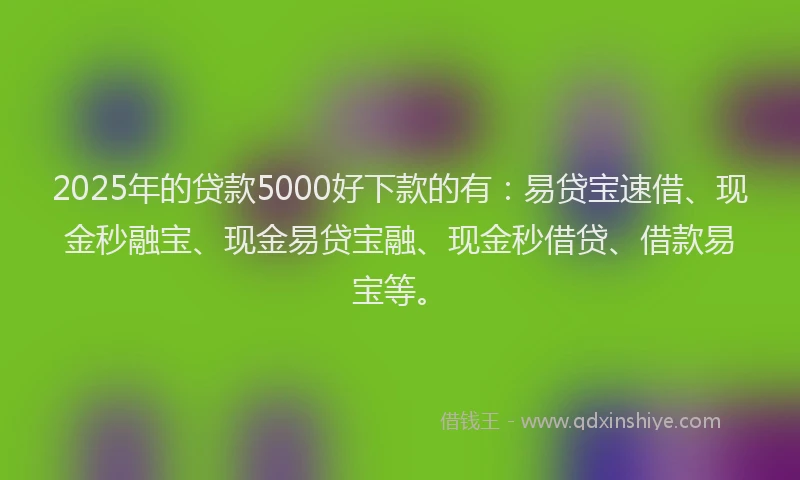2025年的贷款5000好下款的有：易贷宝速借、现金秒融宝、现金易贷宝融、现金秒借贷、借款易宝等。