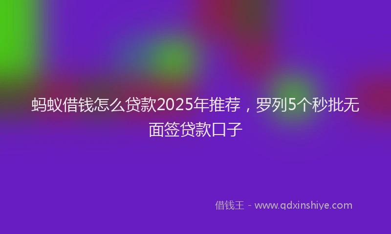 蚂蚁借钱怎么贷款2025年推荐，罗列5个秒批无面签贷款口子