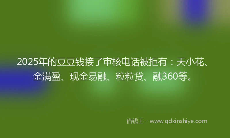 2025年的豆豆钱接了审核电话被拒有：天小花、金满盈、现金易融、粒粒贷、融360等。