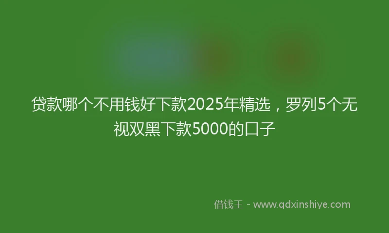 贷款哪个不用钱好下款2025年精选，罗列5个无视双黑下款5000的口子