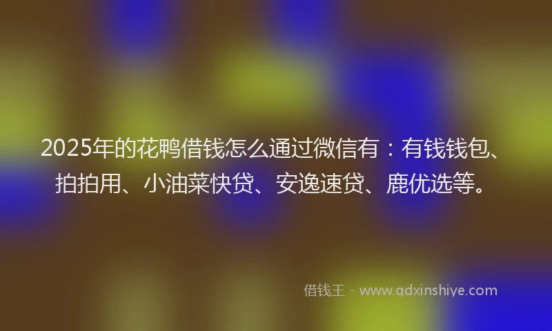2025年的花鸭借钱怎么通过微信有：有钱钱包、拍拍用、小油菜快贷、安逸速贷、鹿优选等。