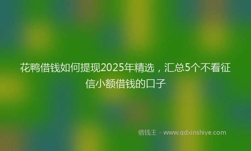 花鸭借钱如何提现2025年精选，汇总5个不看征信小额借钱的口子