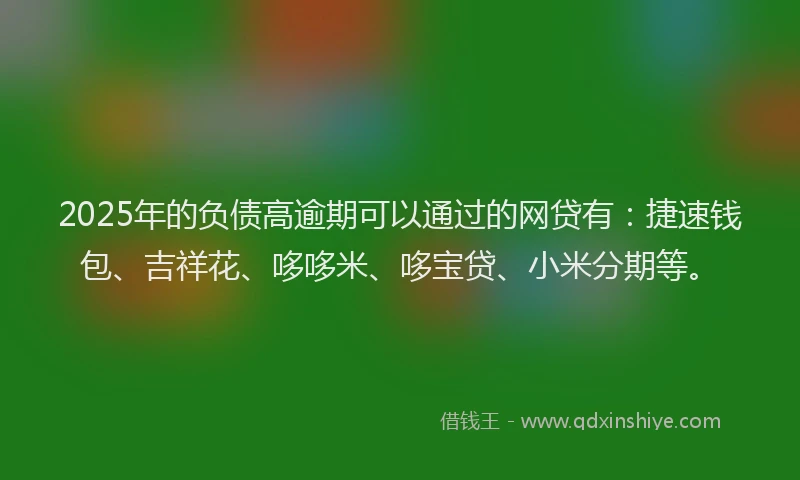 2025年的负债高逾期可以通过的网贷有：捷速钱包、吉祥花、哆哆米、哆宝贷、小米分期等。