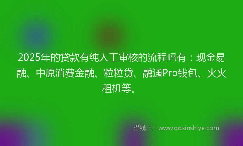 2025年的贷款有纯人工审核的流程吗有：现金易融、中原消费金融、粒粒贷、融通Pro钱包、火火租机等。