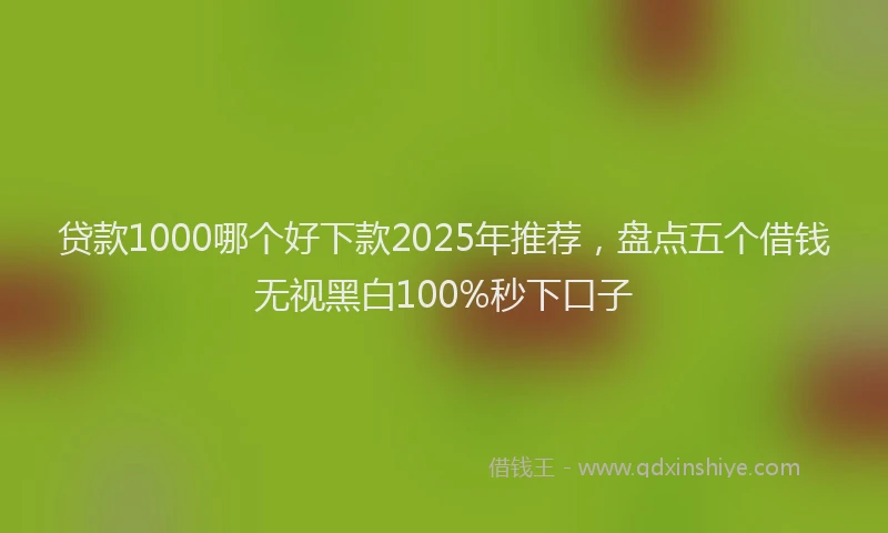 贷款1000哪个好下款2025年推荐，盘点五个借钱无视黑白100%秒下口子