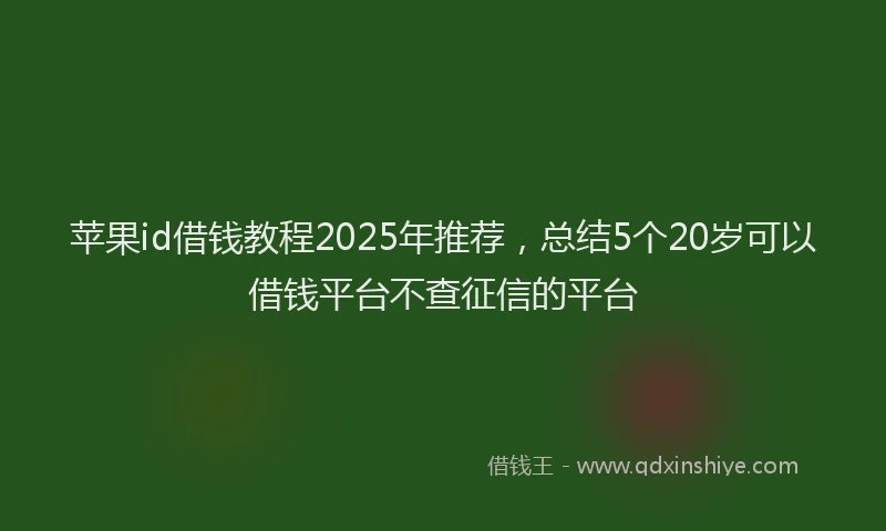 苹果id借钱教程2025年推荐，总结5个20岁可以借钱平台不查征信的平台