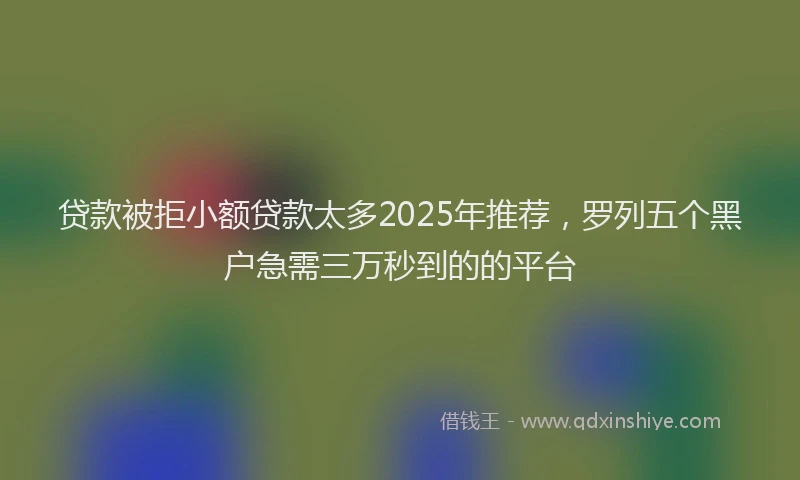 贷款被拒小额贷款太多2025年推荐，罗列五个黑户急需三万秒到的的平台