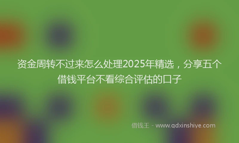 资金周转不过来怎么处理2025年精选，分享五个借钱平台不看综合评估的口子