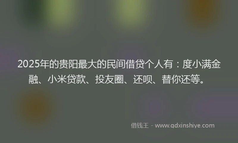 2025年的贵阳最大的民间借贷个人有：度小满金融、小米贷款、投友圈、还呗、替你还等。