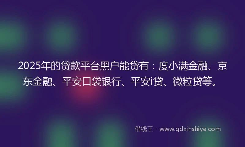 2025年的贷款平台黑户能贷有：度小满金融、京东金融、平安口袋银行、平安i贷、微粒贷等。