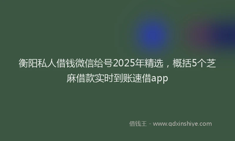 衡阳私人借钱微信给号2025年精选，概括5个芝麻借款实时到账速借app