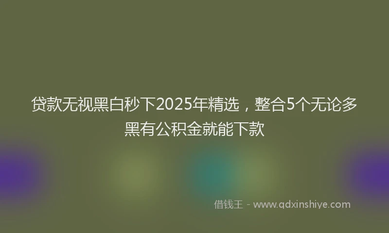贷款无视黑白秒下2025年精选，整合5个无论多黑有公积金就能下款