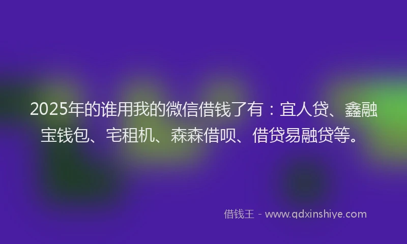2025年的谁用我的微信借钱了有：宜人贷、鑫融宝钱包、宅租机、森森借呗、借贷易融贷等。