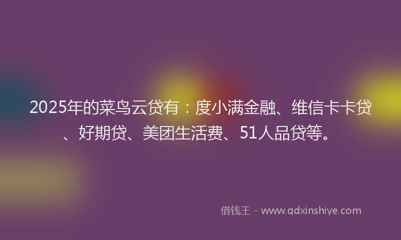 2025年的菜鸟云贷有：度小满金融、维信卡卡贷、好期贷、美团生活费、51人品贷等。