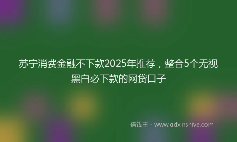 苏宁消费金融不下款2025年推荐，整合5个无视黑白必下款的网贷口子