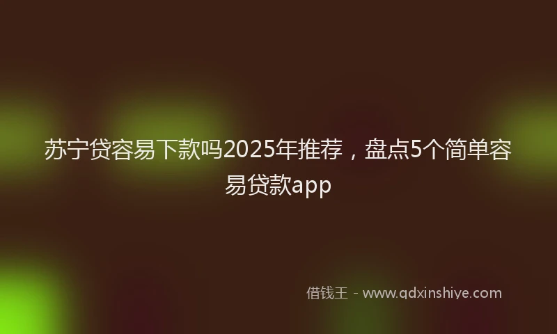 苏宁贷容易下款吗2025年推荐，盘点5个简单容易贷款app
