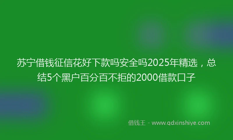苏宁借钱征信花好下款吗安全吗2025年精选，总结5个黑户百分百不拒的2000借款口子