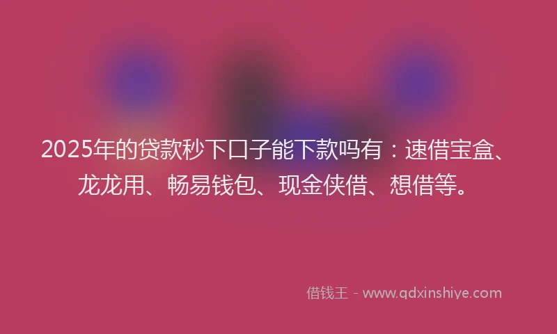 2025年的贷款秒下口子能下款吗有：速借宝盒、龙龙用、畅易钱包、现金侠借、想借等。