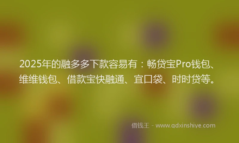 2025年的融多多下款容易有：畅贷宝Pro钱包、维维钱包、借款宝快融通、宜口袋、时时贷等。