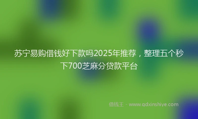 苏宁易购借钱好下款吗2025年推荐，整理五个秒下700芝麻分贷款平台