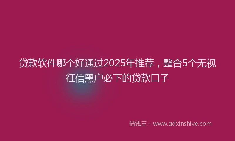 贷款软件哪个好通过2025年推荐，整合5个无视征信黑户必下的贷款口子