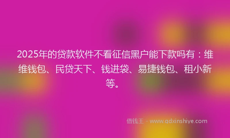 2025年的贷款软件不看征信黑户能下款吗有：维维钱包、民贷天下、钱进袋、易捷钱包、租小新等。