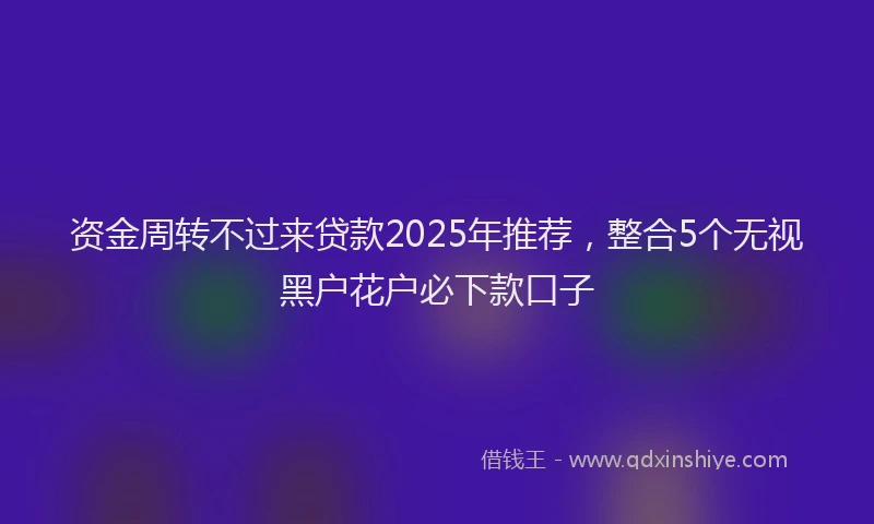 资金周转不过来贷款2025年推荐，整合5个无视黑户花户必下款口子