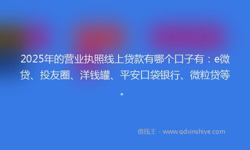 2025年的营业执照线上贷款有哪个口子有：e微贷、投友圈、洋钱罐、平安口袋银行、微粒贷等。