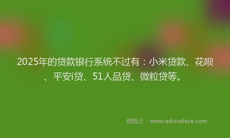 2025年的贷款银行系统不过有：小米贷款、花呗、平安i贷、51人品贷、微粒贷等。