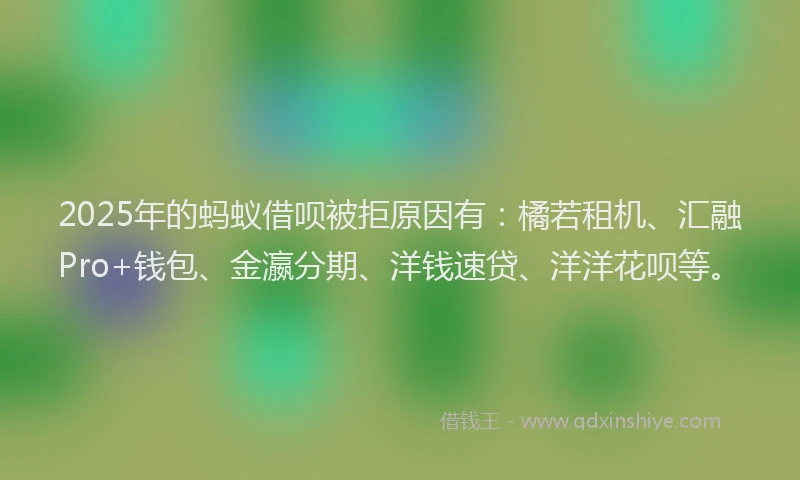 2025年的蚂蚁借呗被拒原因有:橘若租机、汇融Pro+钱包、金瀛分期、洋钱速贷、洋洋花呗等。