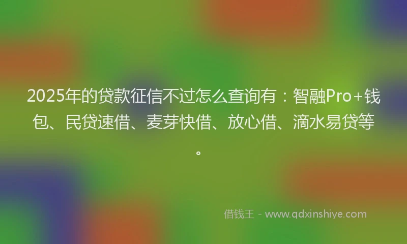 2025年的贷款征信不过怎么查询有：智融Pro+钱包、民贷速借、麦芽快借、放心借、滴水易贷等。